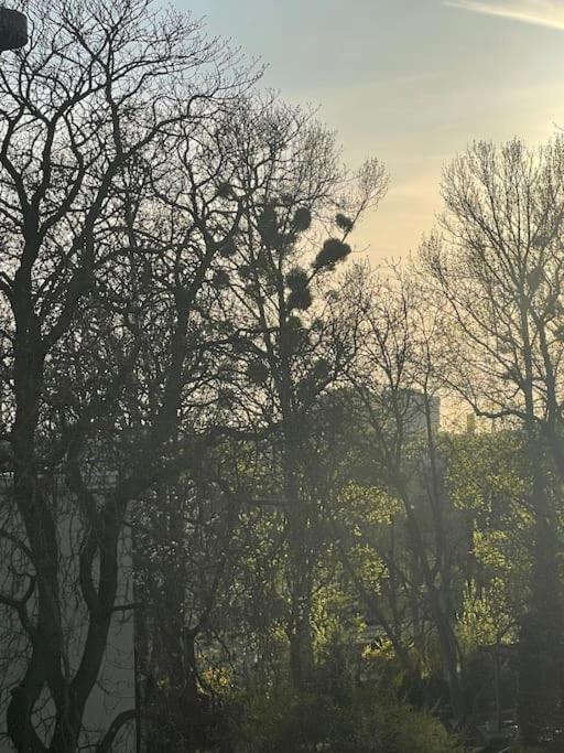 Stilvolles Augarten Refugium فيينا المظهر الخارجي الصورة